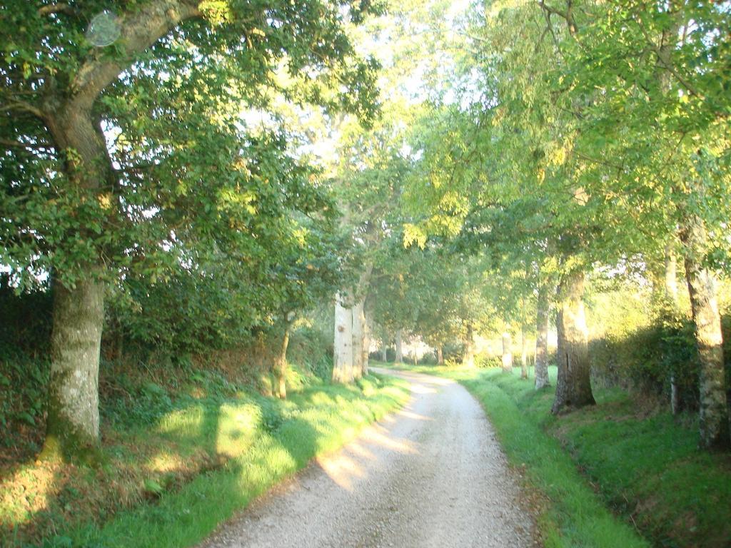 Chateau Le Val Brix Quarto foto